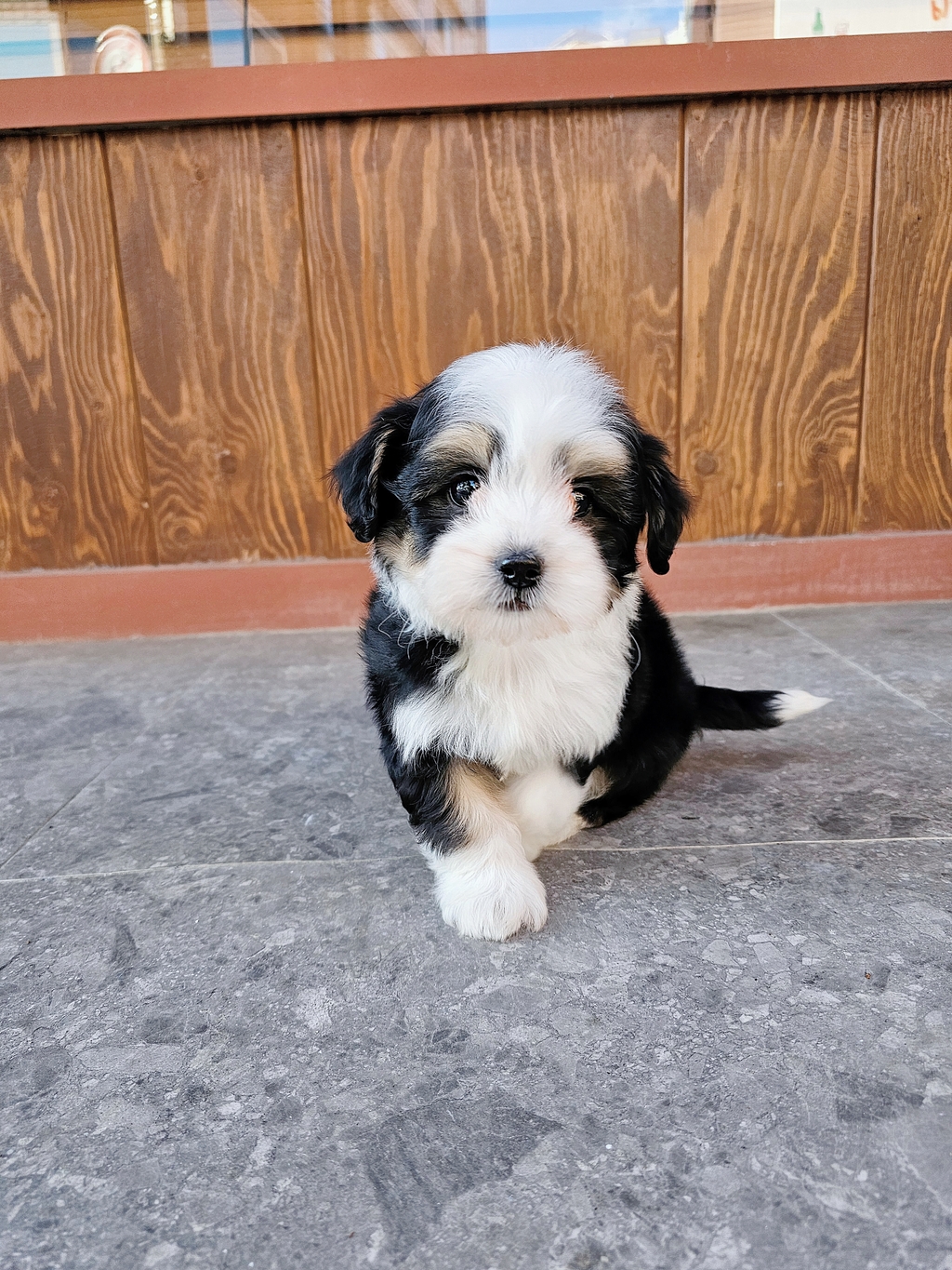 Ȯ�� �̹���