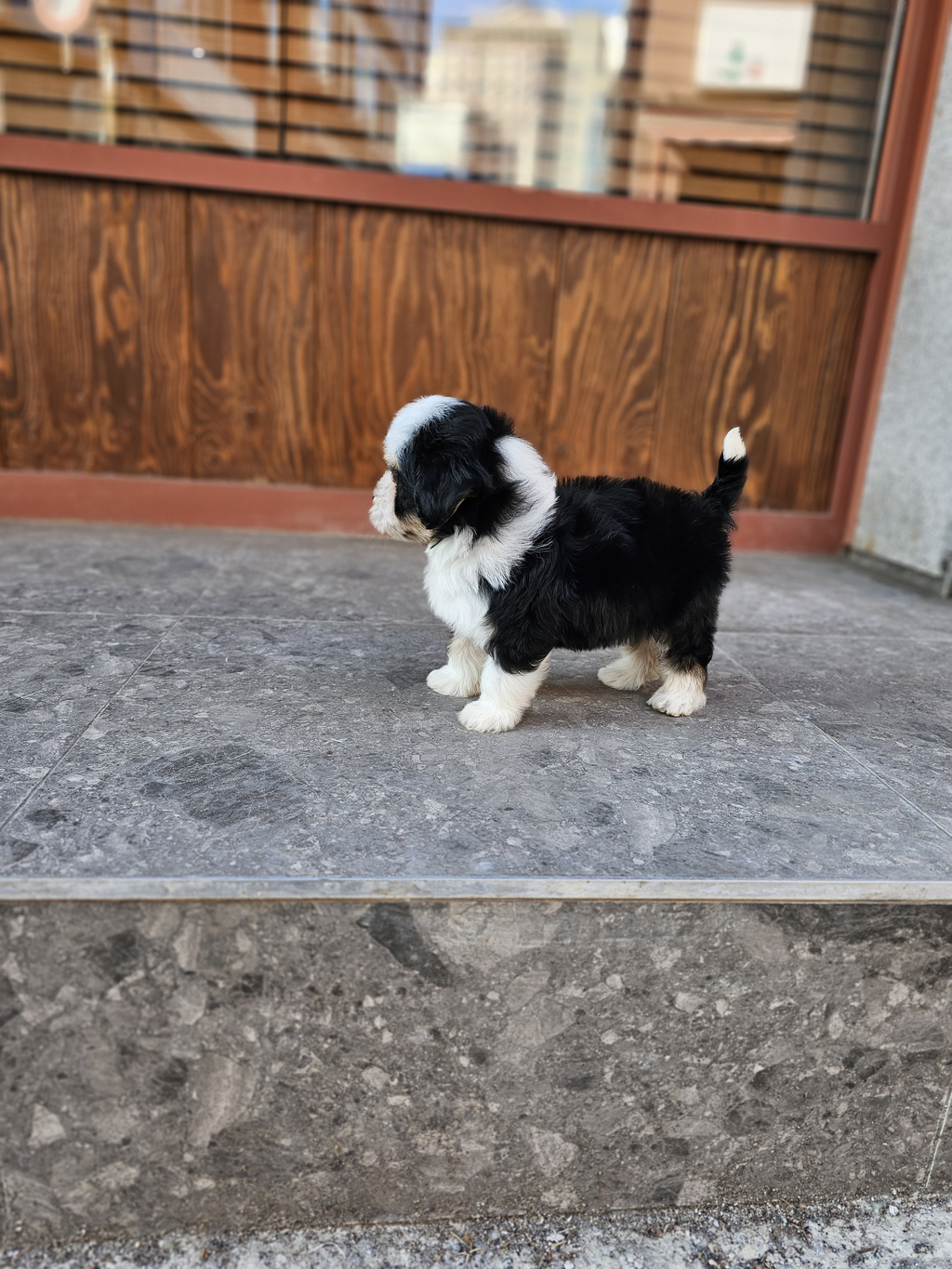 Ȯ�� �̹���