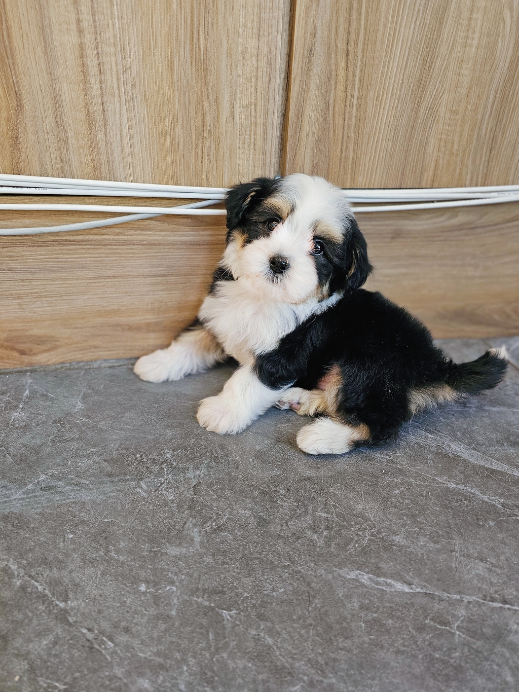 Ȯ�� �̹���