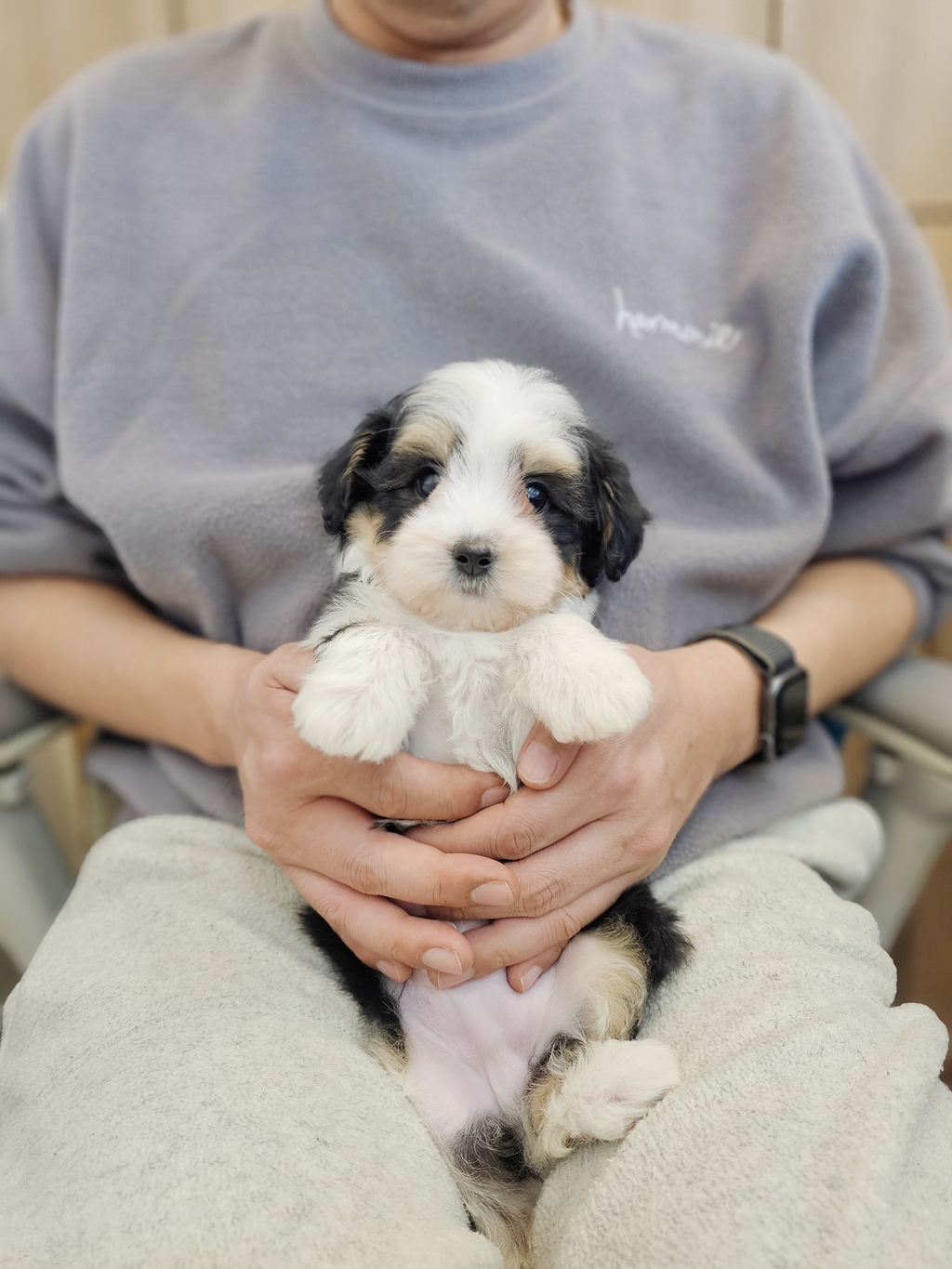 Ȯ�� �̹���