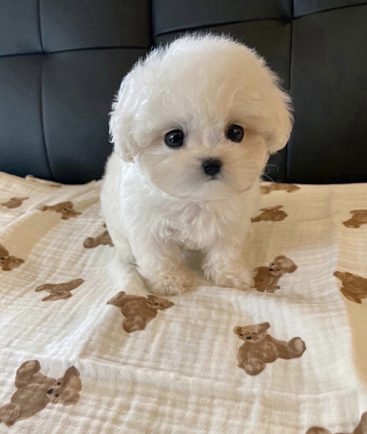 Ȯ�� �̹���