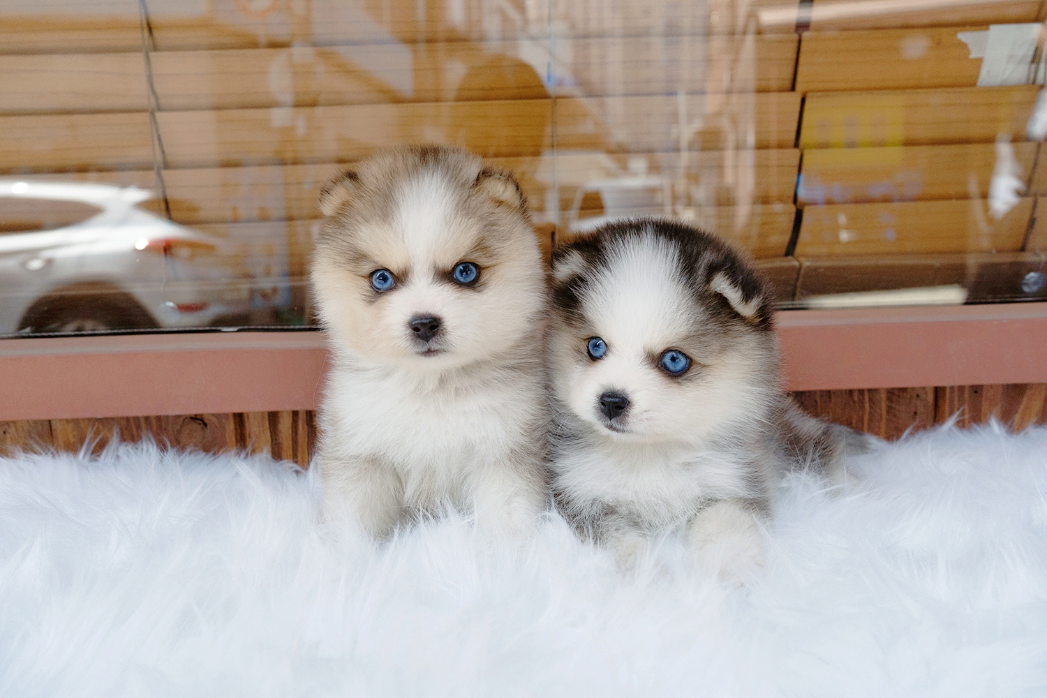 Ȯ�� �̹���