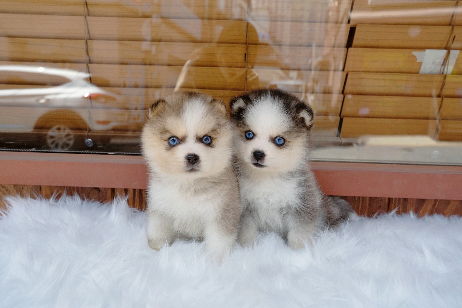 Ȯ�� �̹���