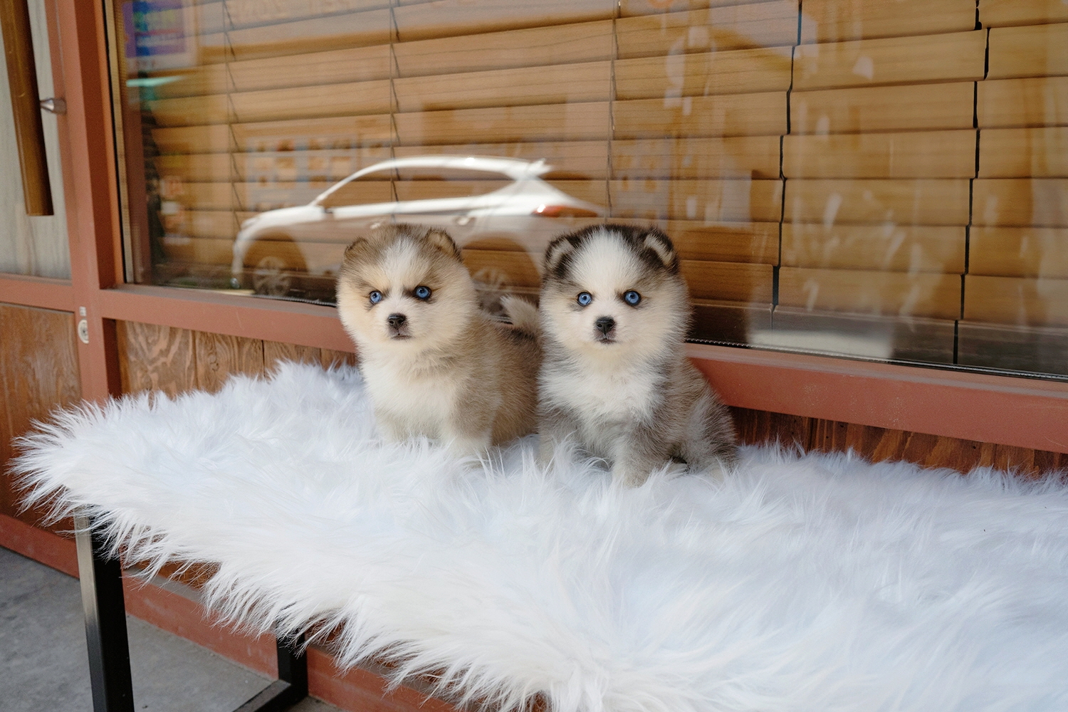 Ȯ�� �̹���