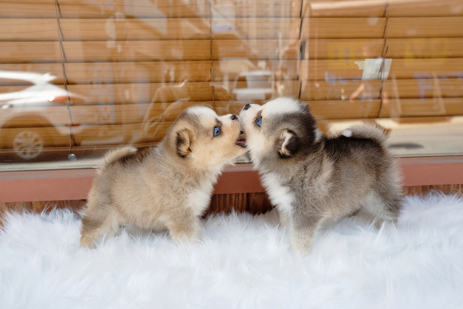 Ȯ�� �̹���