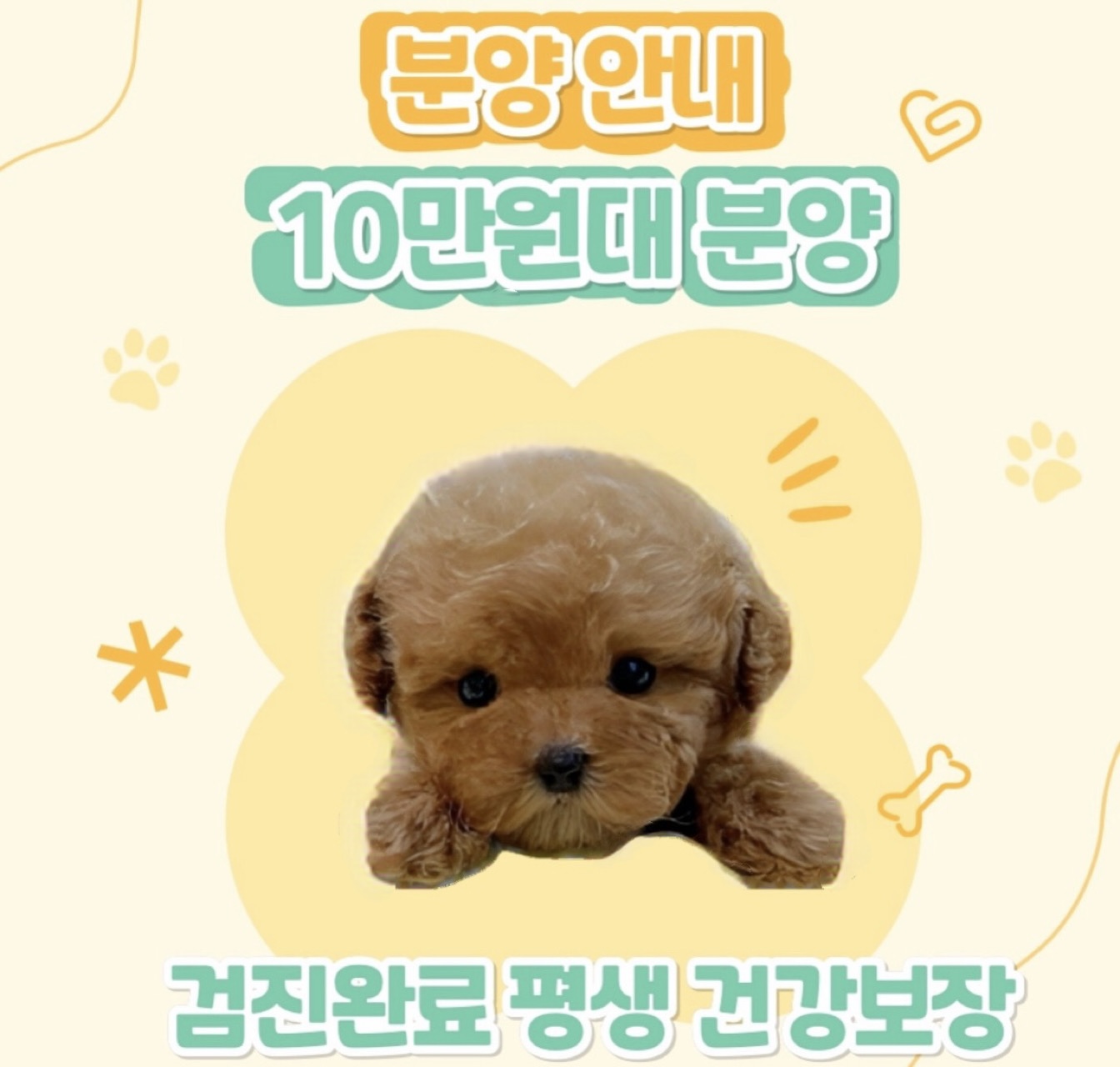 Ȯ�� �̹���