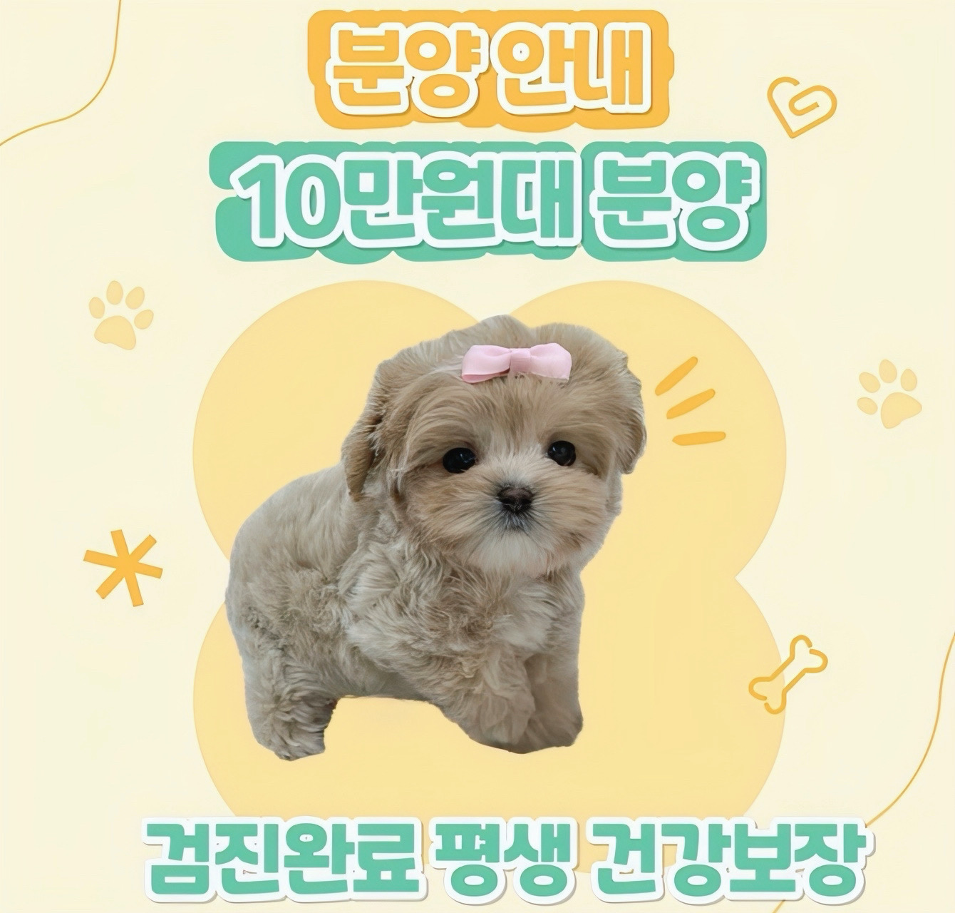 Ȯ�� �̹���