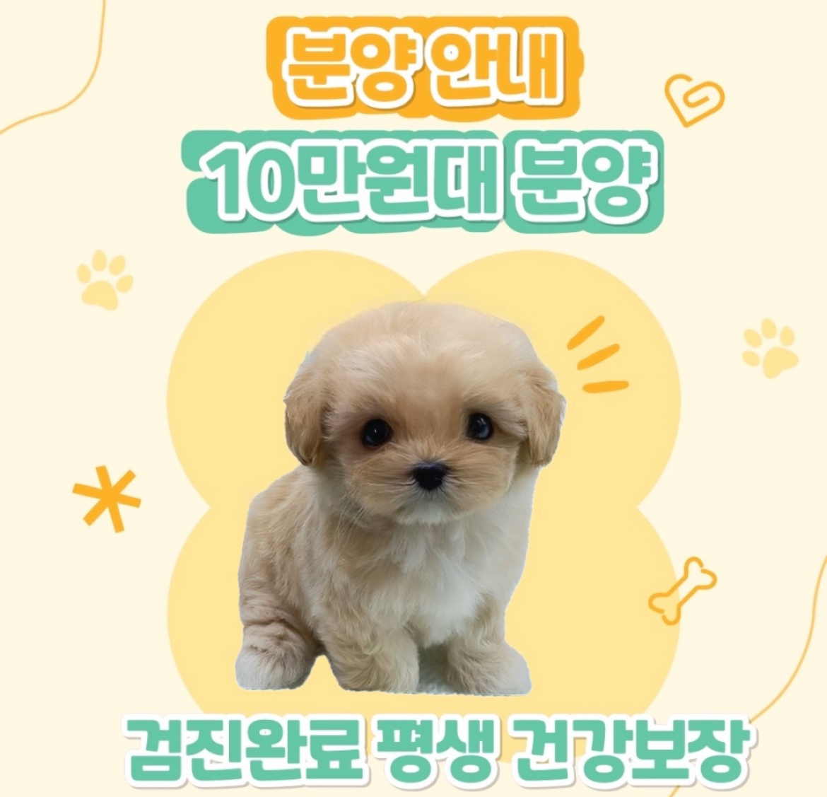 Ȯ�� �̹���