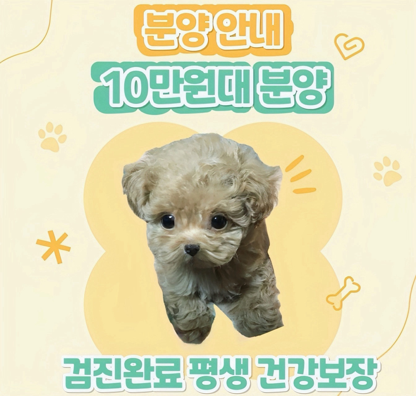 Ȯ�� �̹���