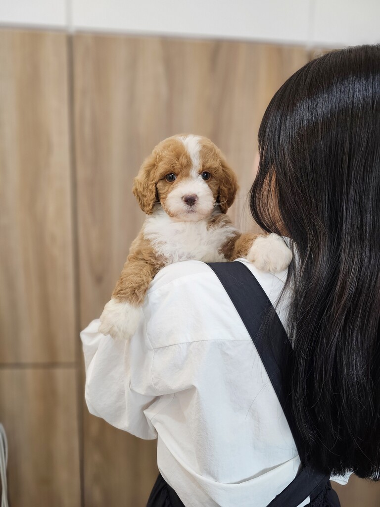 Ȯ�� �̹���