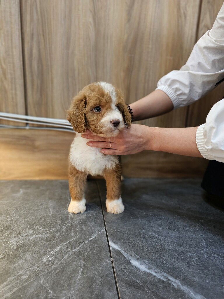 Ȯ�� �̹���