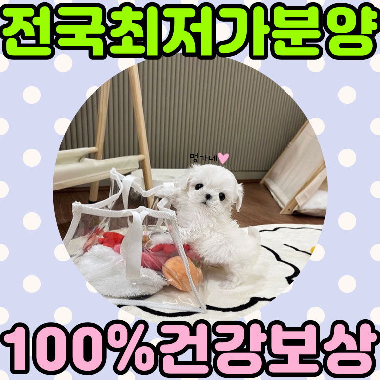 Ȯ�� �̹���