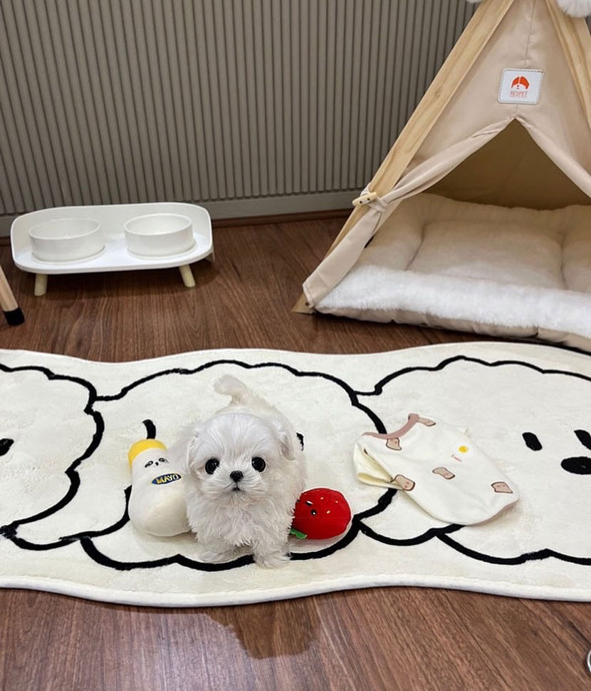 Ȯ�� �̹���