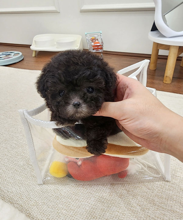 Ȯ�� �̹���