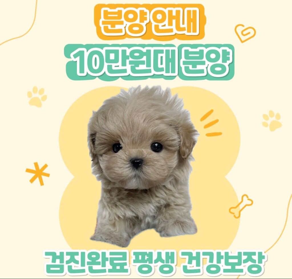 Ȯ�� �̹���