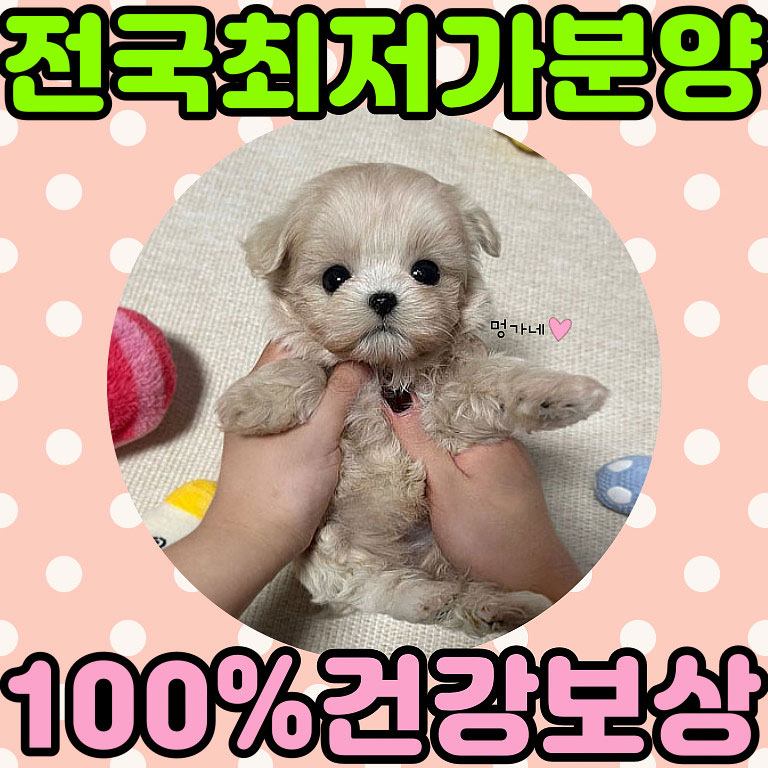 Ȯ�� �̹���