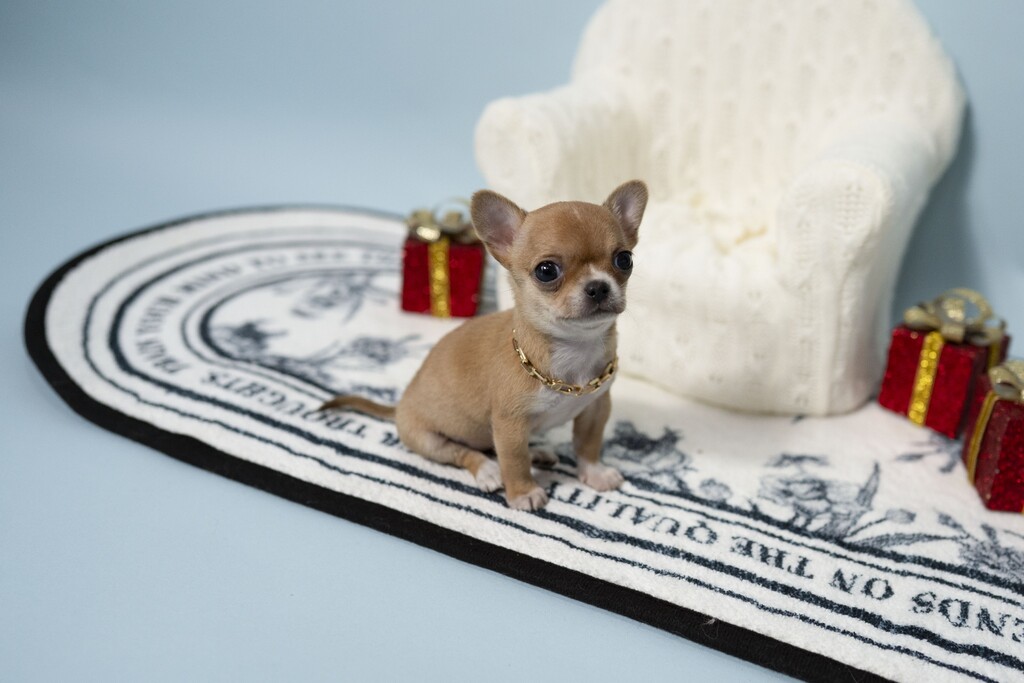 Ȯ�� �̹���