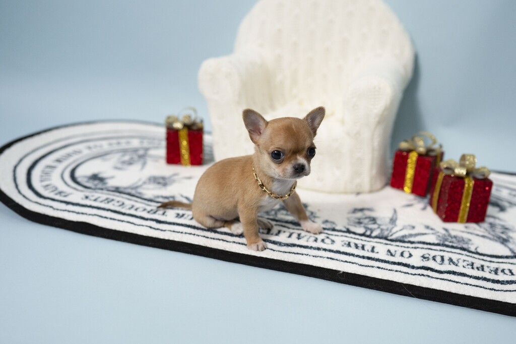 Ȯ�� �̹���