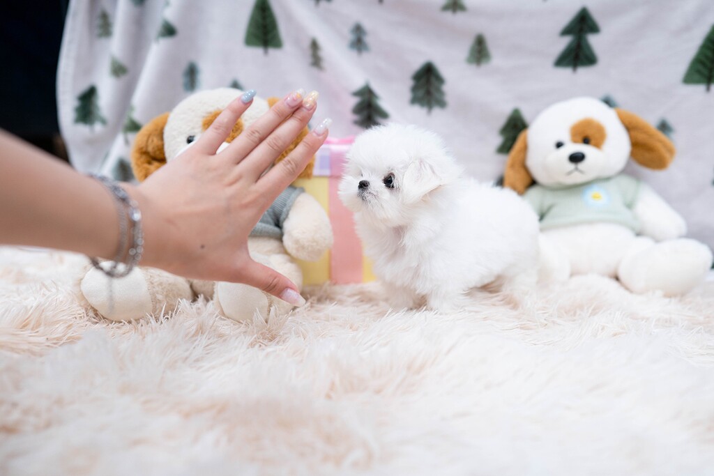 Ȯ�� �̹���