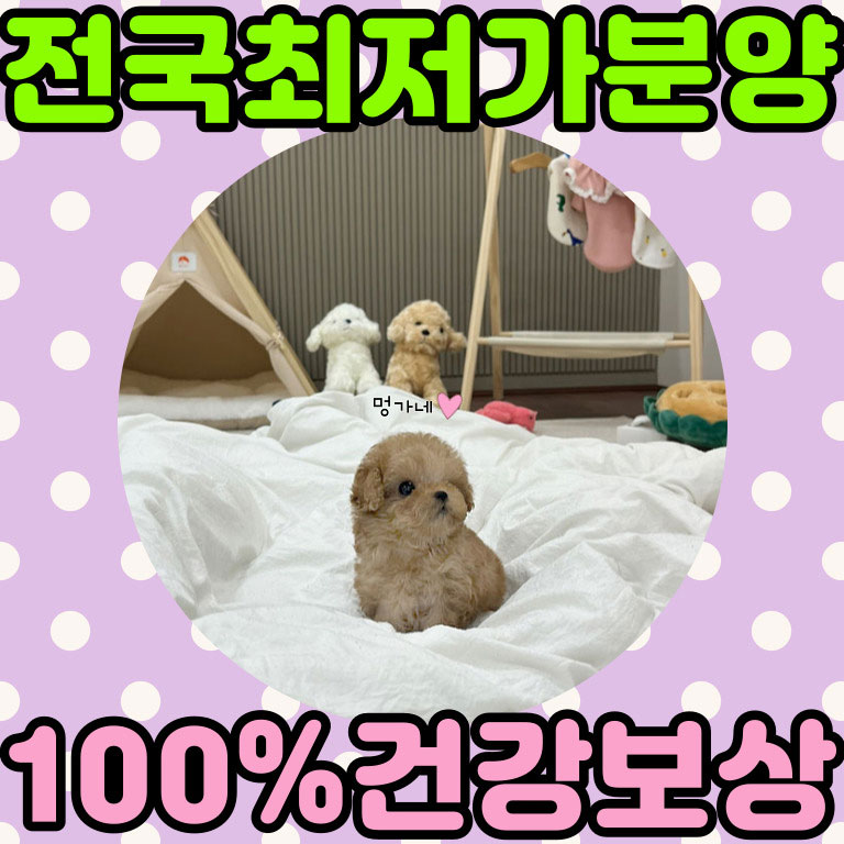 Ȯ�� �̹���