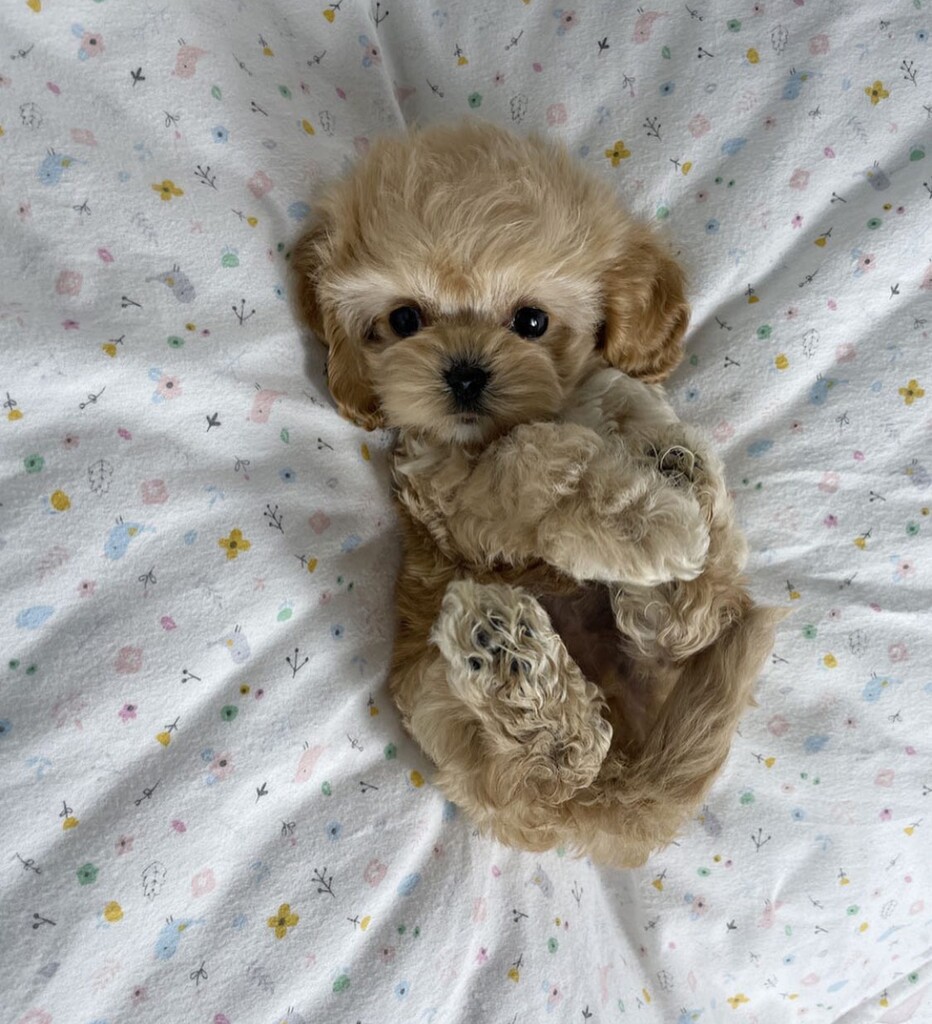 Ȯ�� �̹���