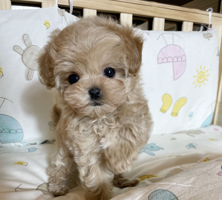 Ȯ�� �̹���