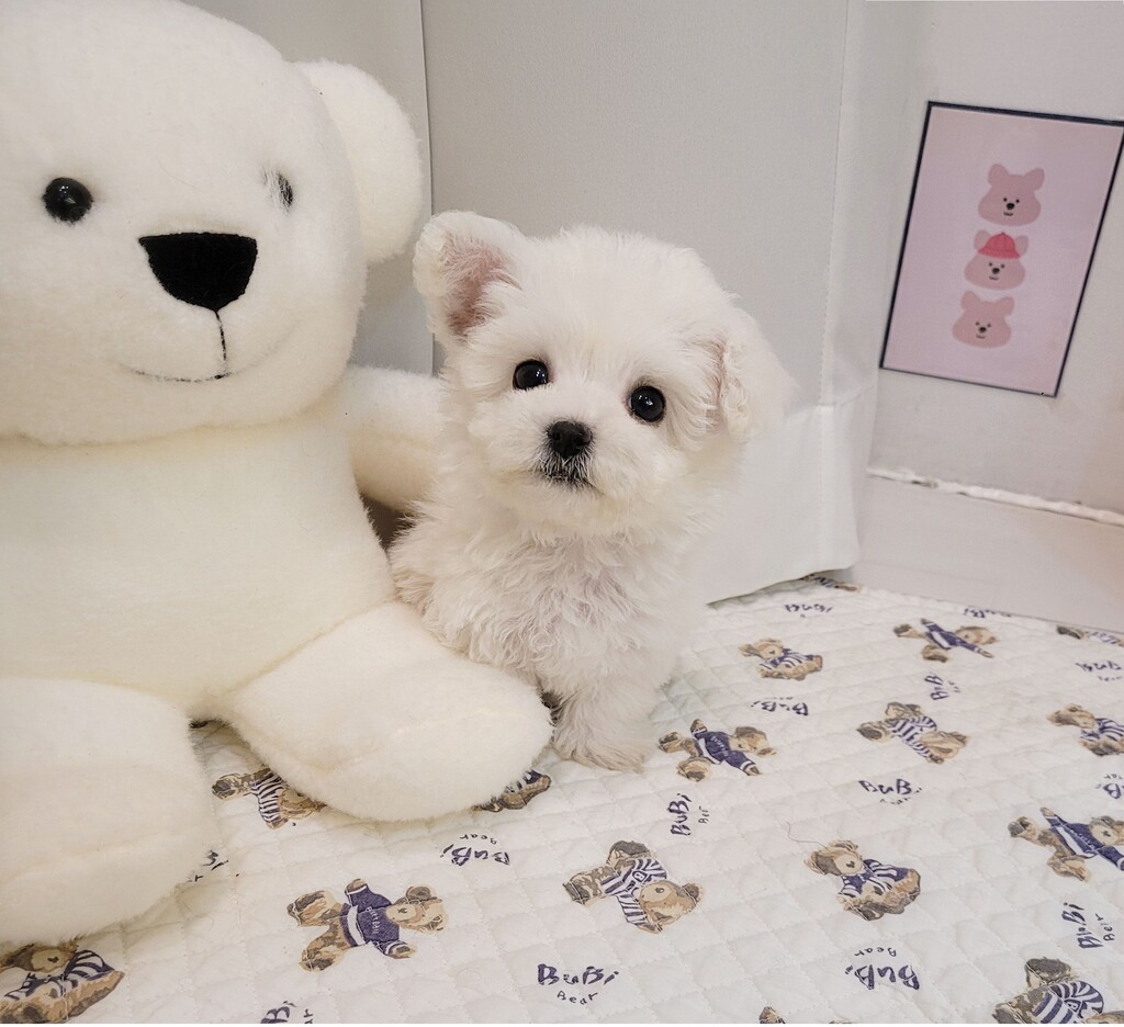 Ȯ�� �̹���