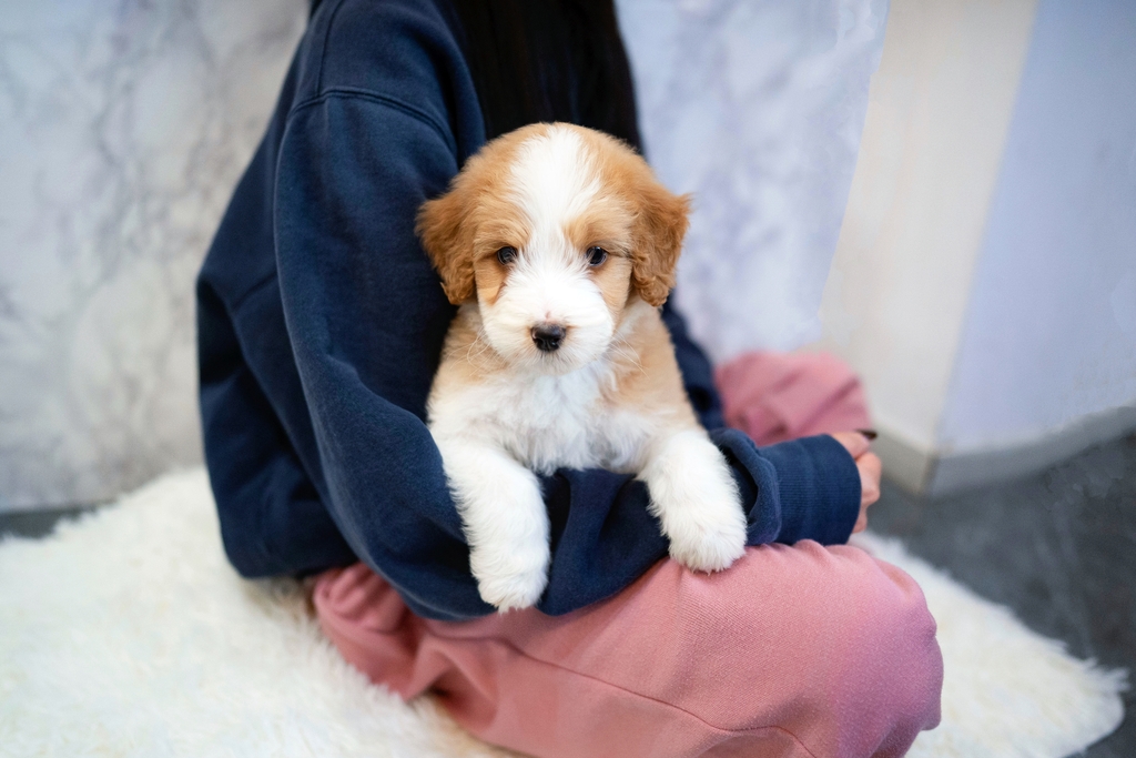 Ȯ�� �̹���