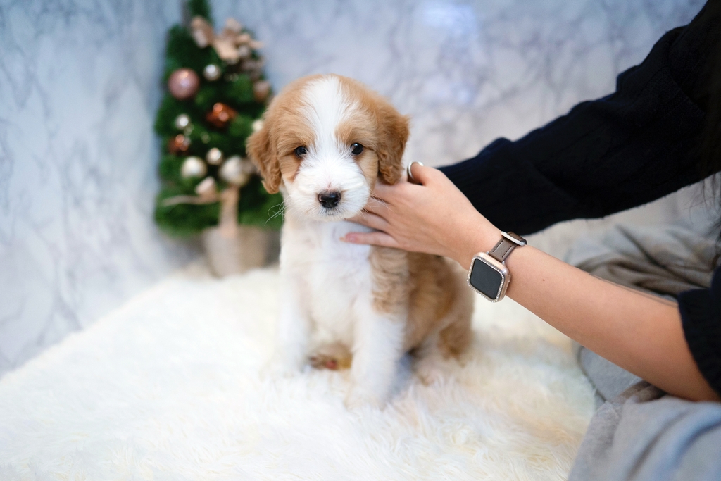 Ȯ�� �̹���