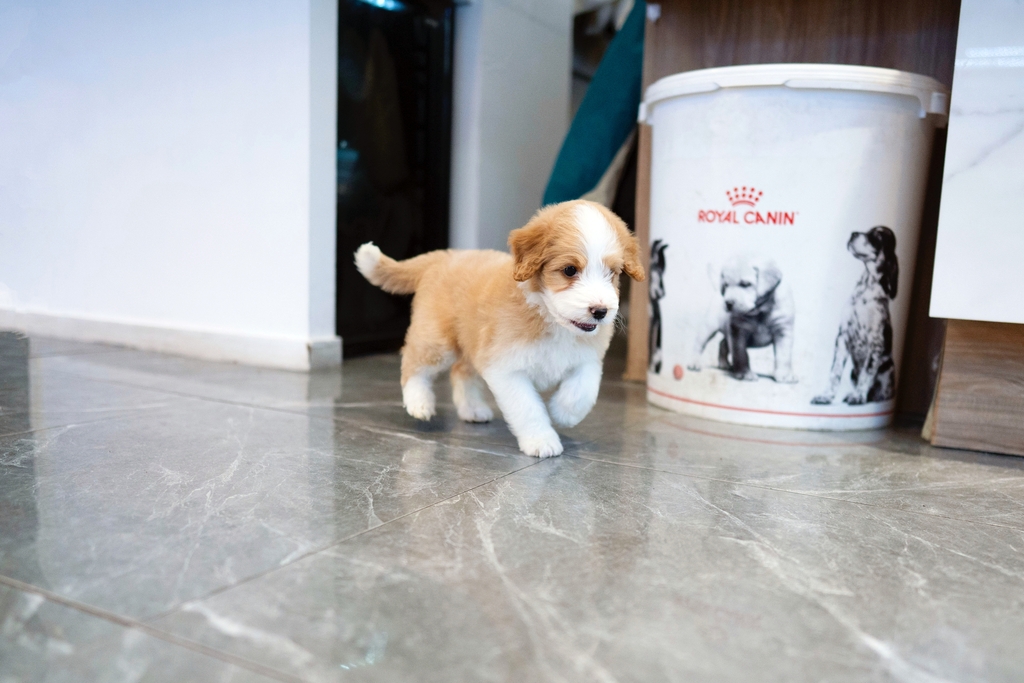 Ȯ�� �̹���