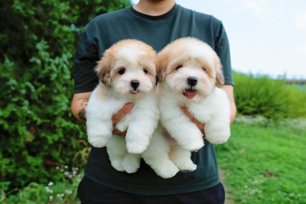 Ȯ�� �̹���