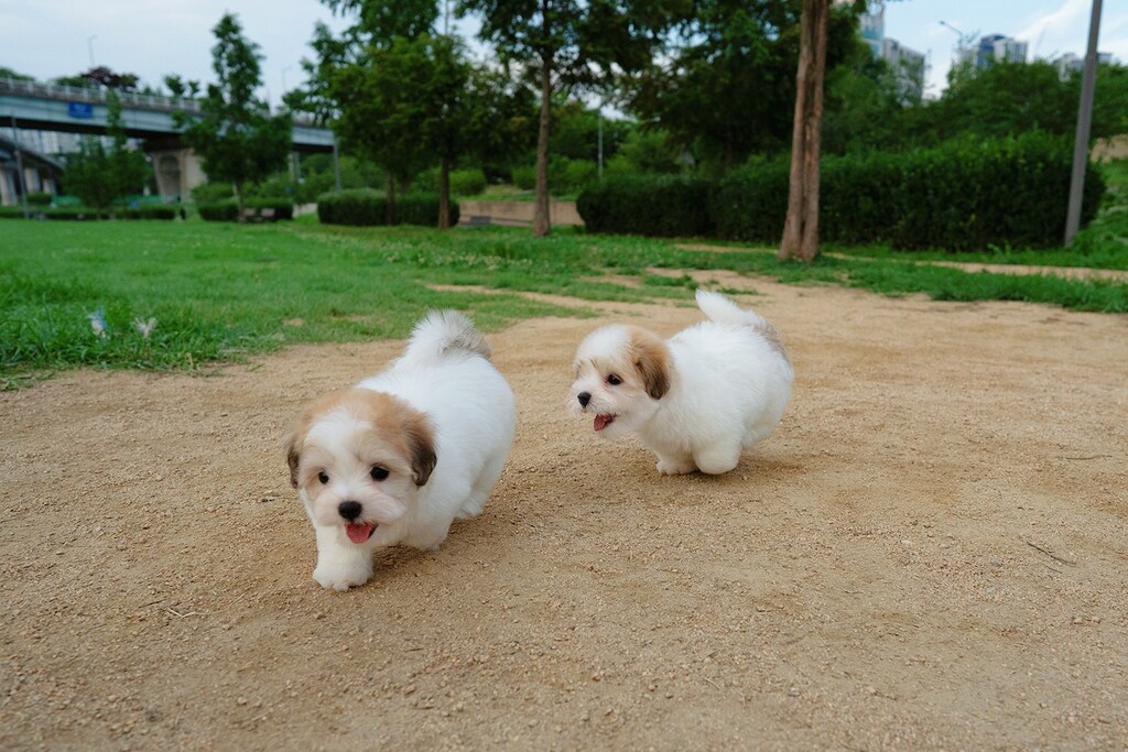 Ȯ�� �̹���