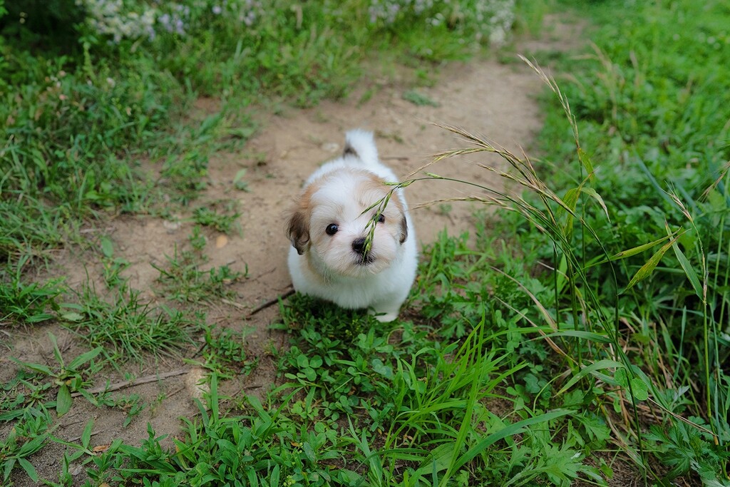 Ȯ�� �̹���