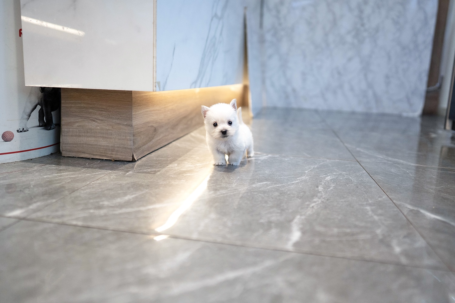 Ȯ�� �̹���