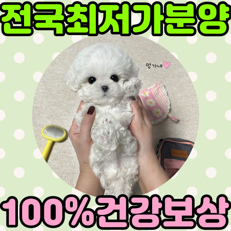 Ȯ�� �̹���