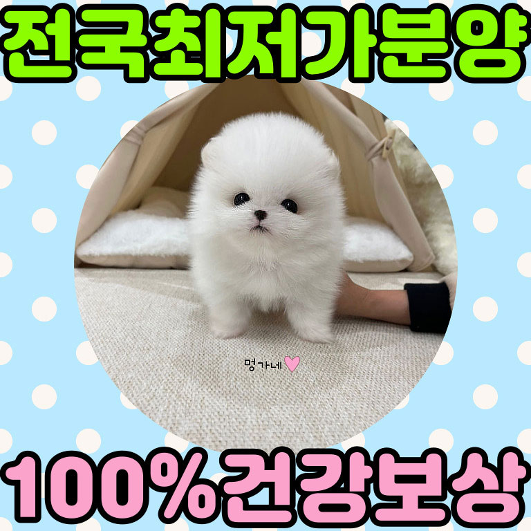 Ȯ�� �̹���