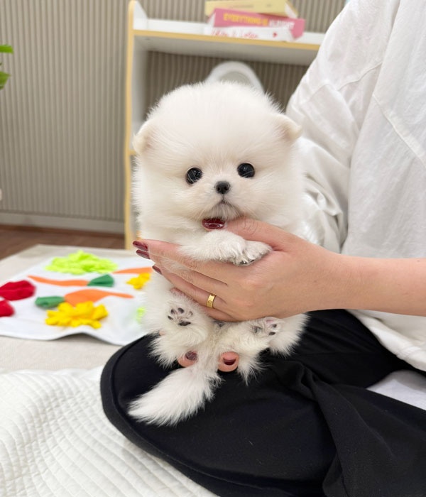 Ȯ�� �̹���