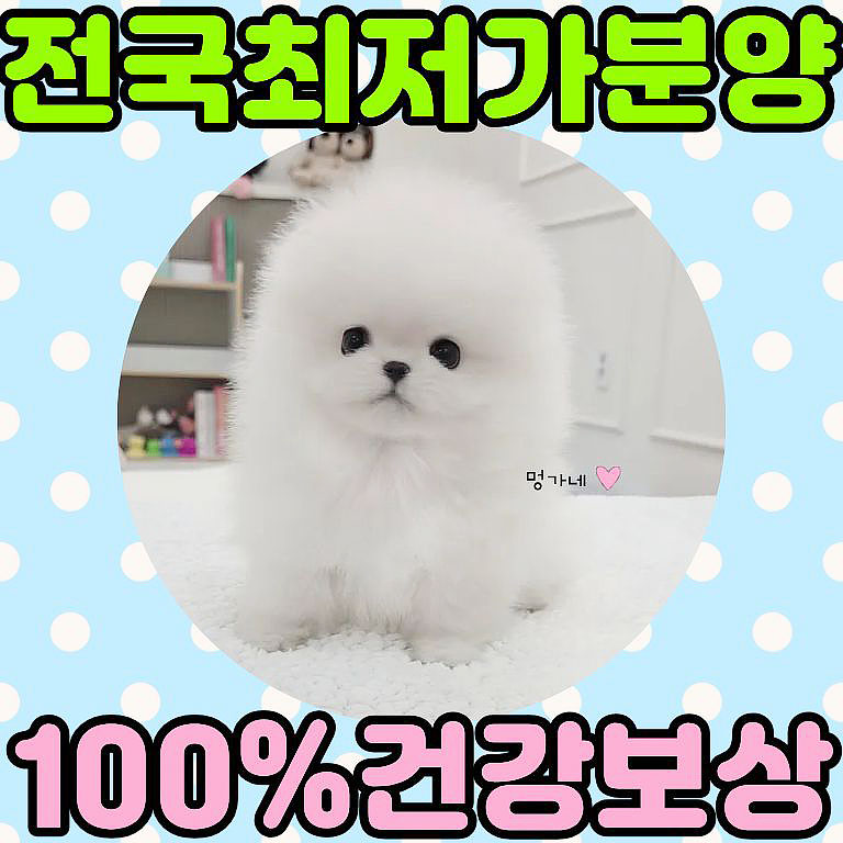 Ȯ�� �̹���