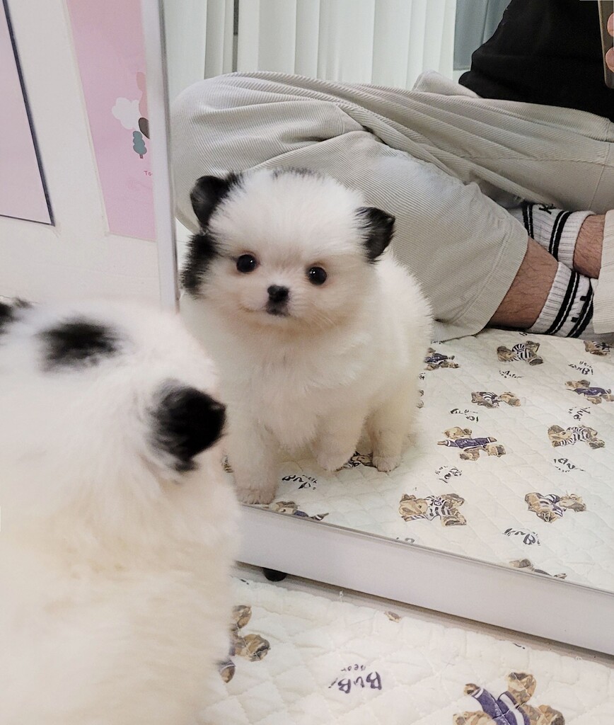 Ȯ�� �̹���