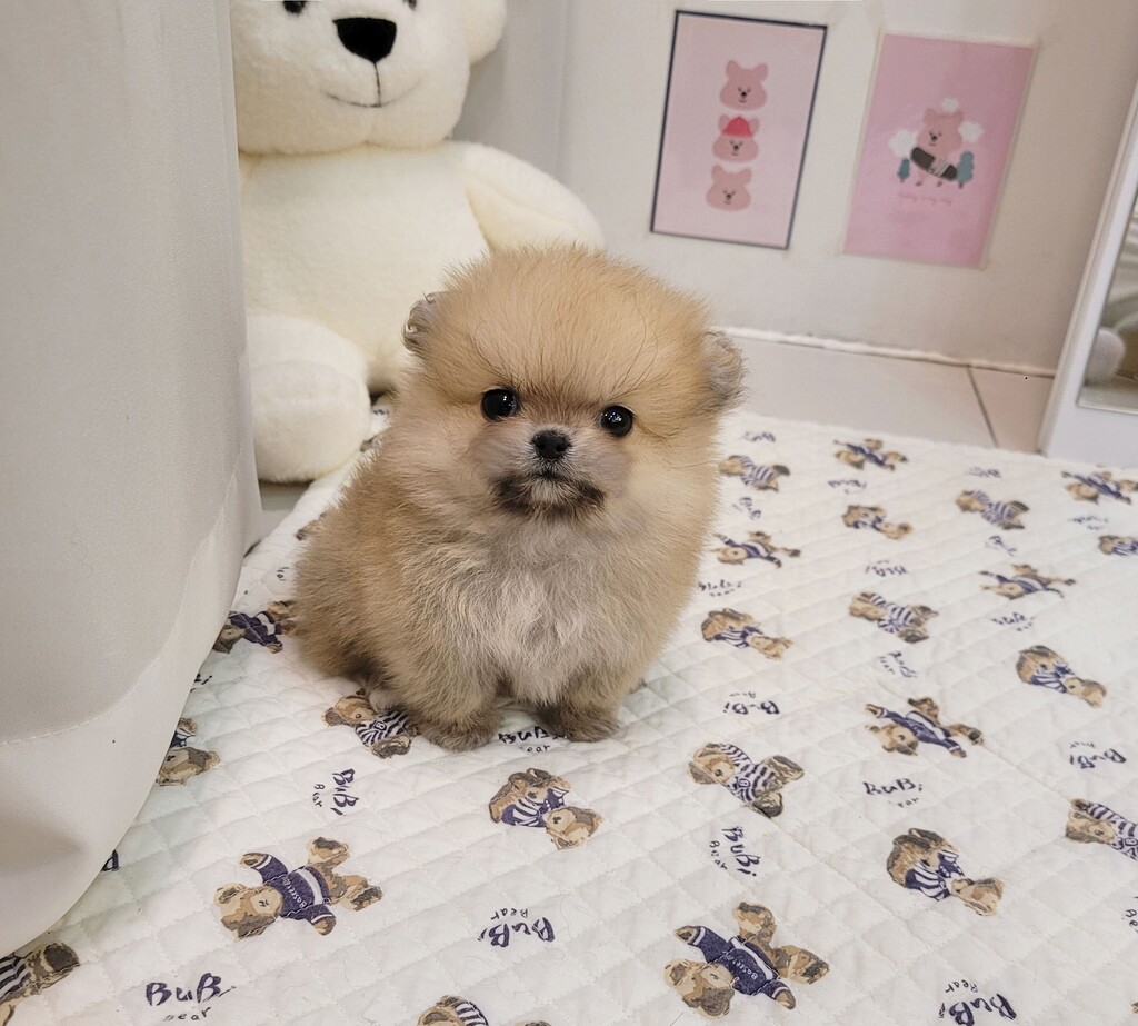 Ȯ�� �̹���