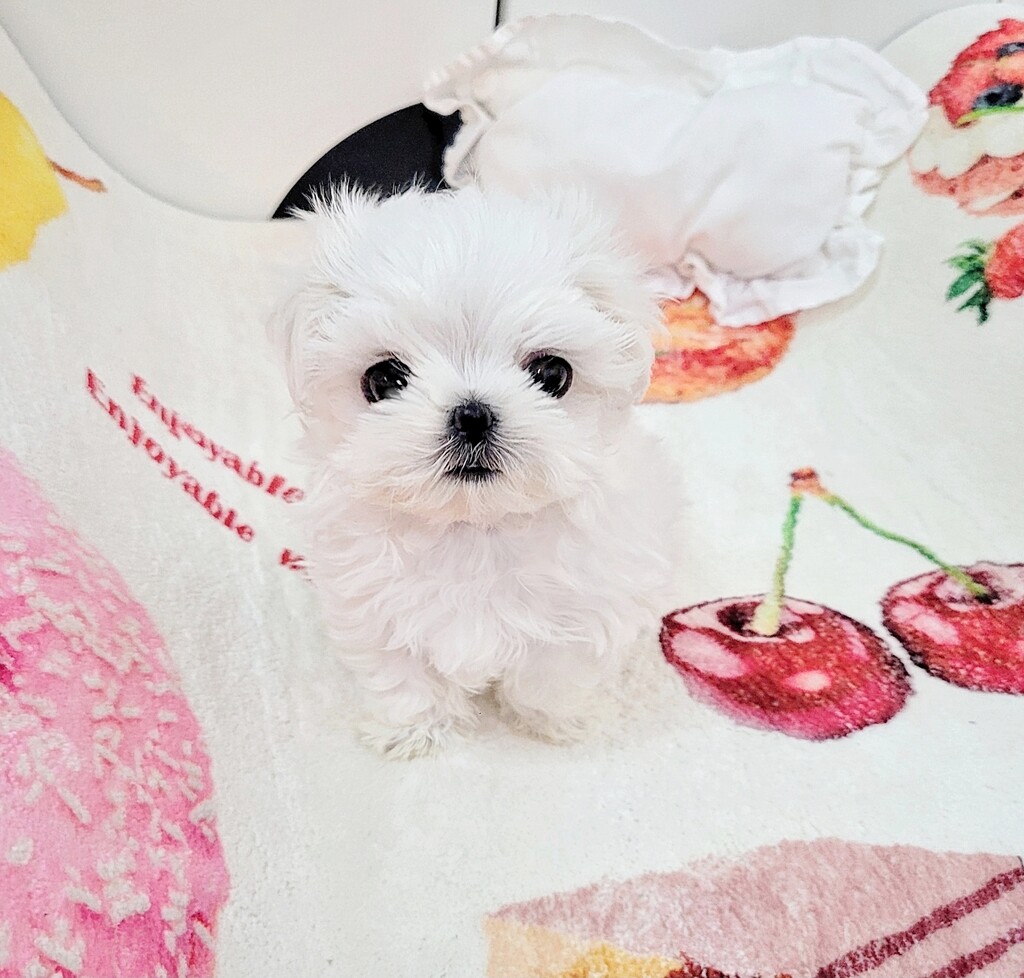 Ȯ�� �̹���