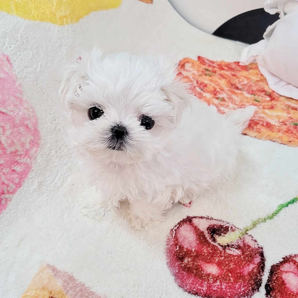 Ȯ�� �̹���