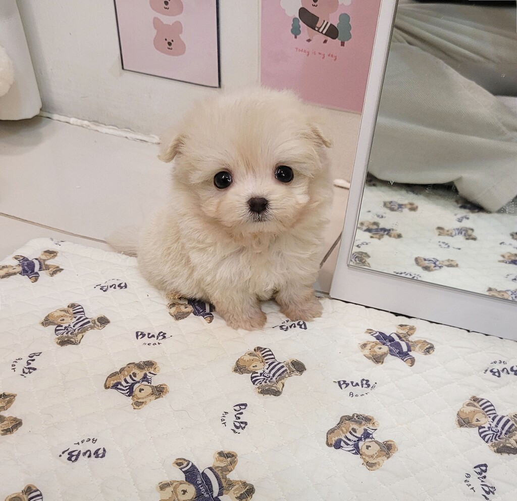 Ȯ�� �̹���