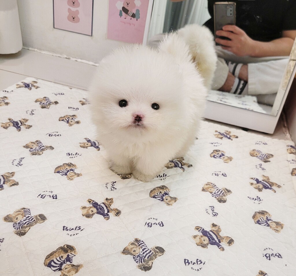 Ȯ�� �̹���