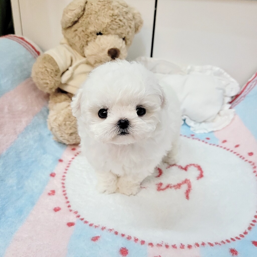 Ȯ�� �̹���