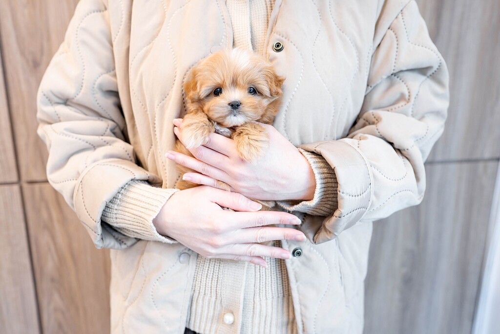 Ȯ�� �̹���