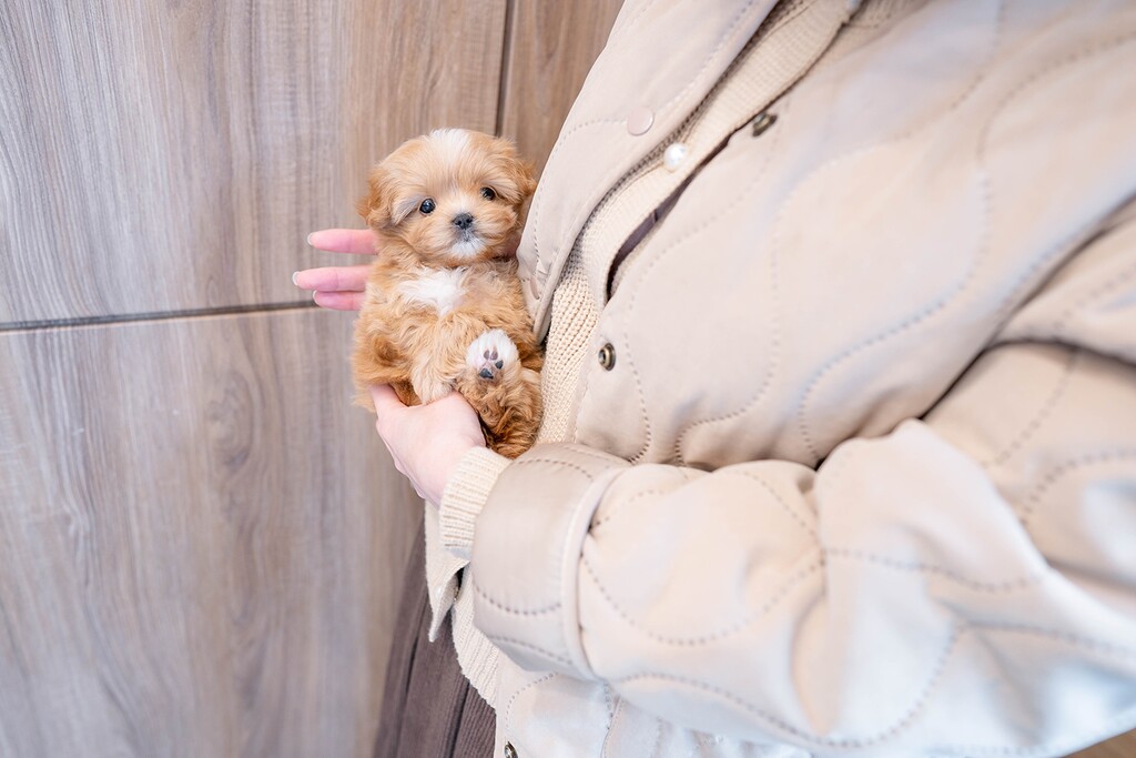 Ȯ�� �̹���