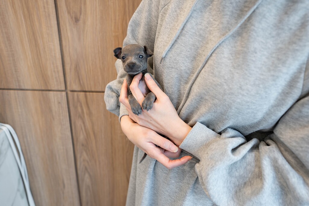 Ȯ�� �̹���