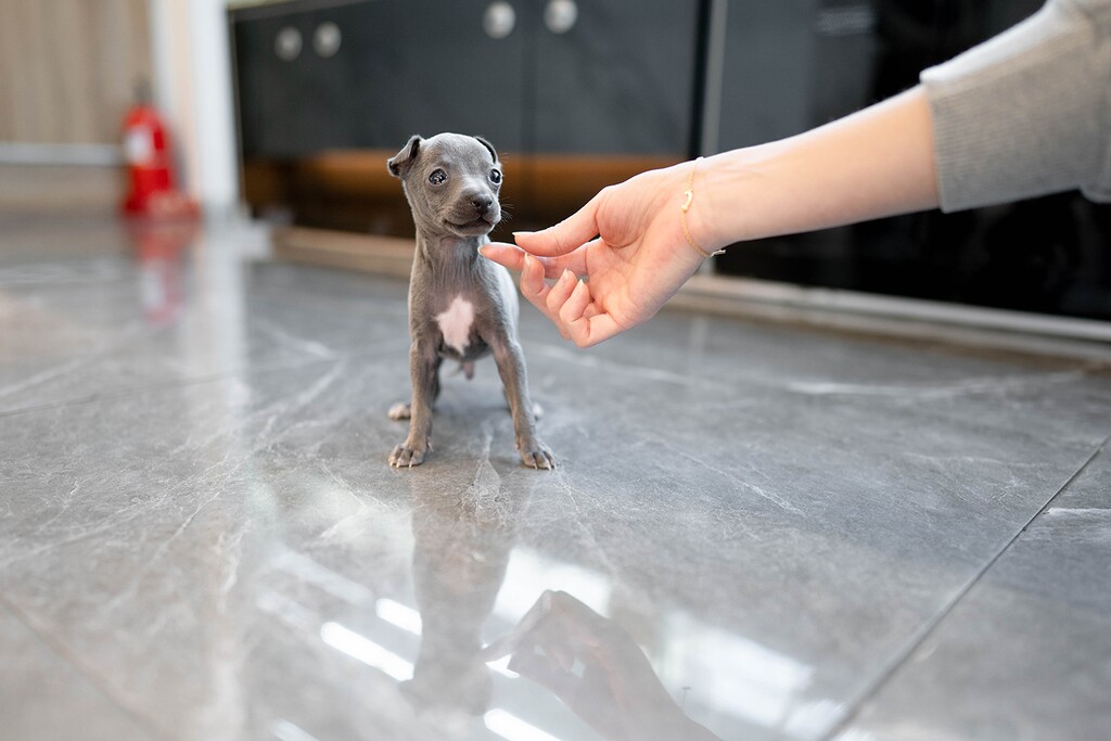 Ȯ�� �̹���