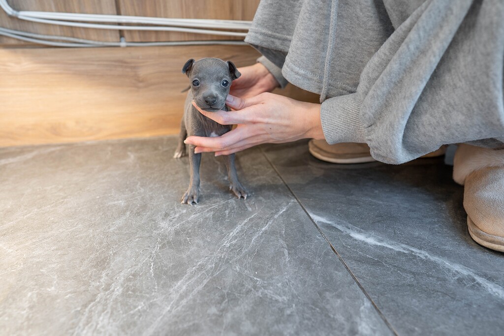 Ȯ�� �̹���